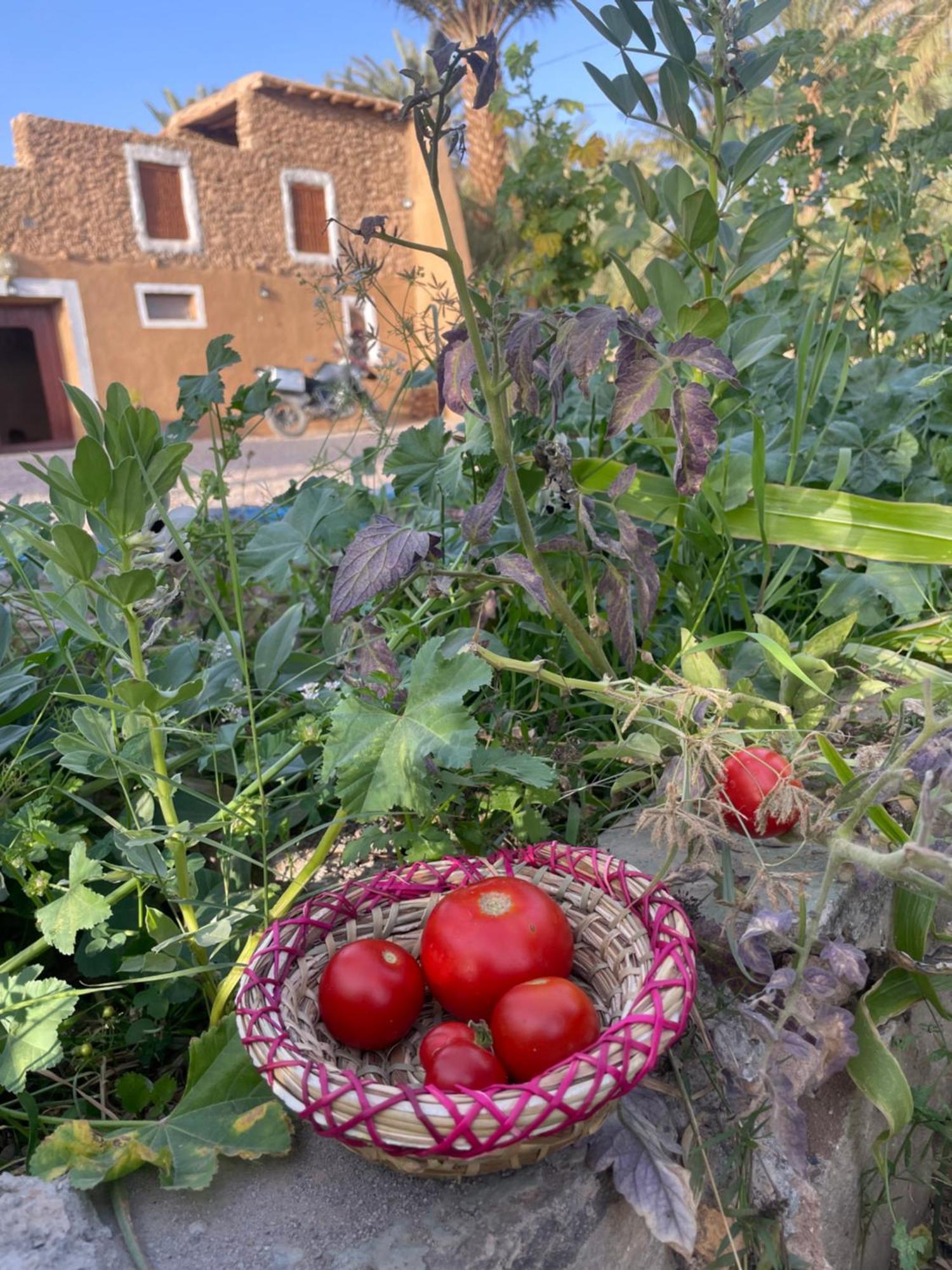 Maison D'Hote Dar Imrane Tata Kültér fotó